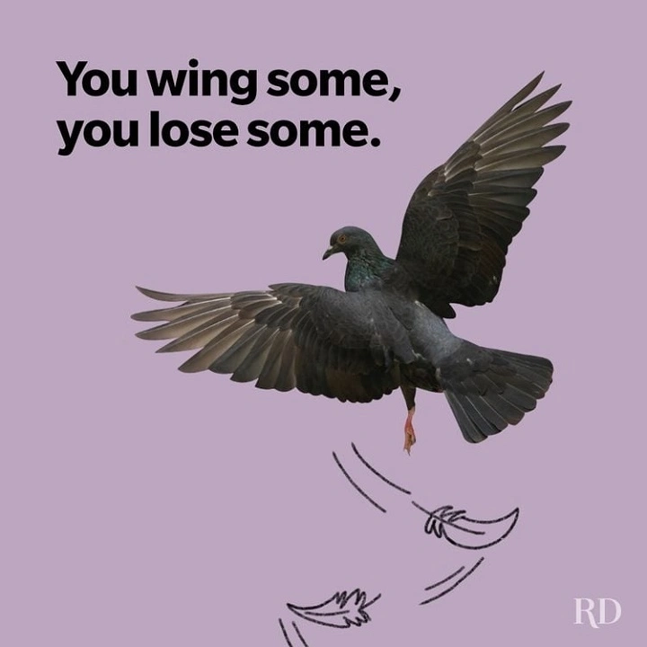 Bird Puns One-Liners: Feathered Fun for Every Occasion bird puns one liners