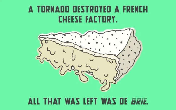 Daily Cheese Puns