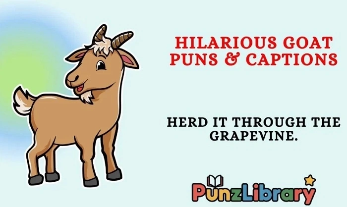 Funny Goat Names Puns (5)