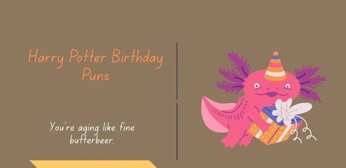 Harry Potter Birthday Puns That Are Simply Magical (1)