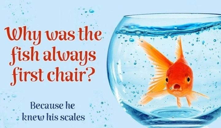 Music Puns One-Liners: Notes, Beats, and Harmony of Humor music puns one liners (3)