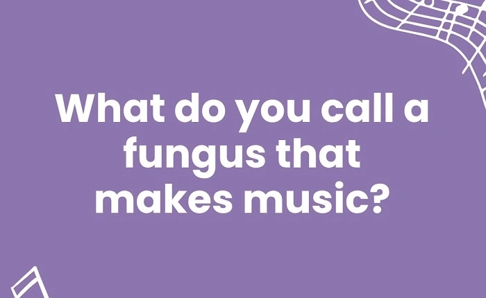 Music Puns One-Liners