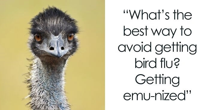 Seasonal & Weather Bird Puns