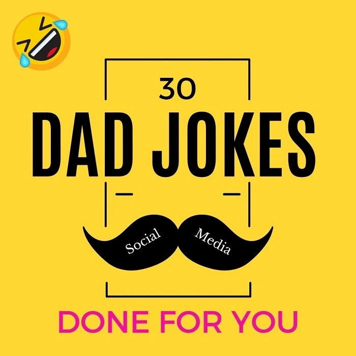 Social Media Dad Joke Captions (1)