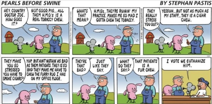 Daily Pearls Before Swine Puns