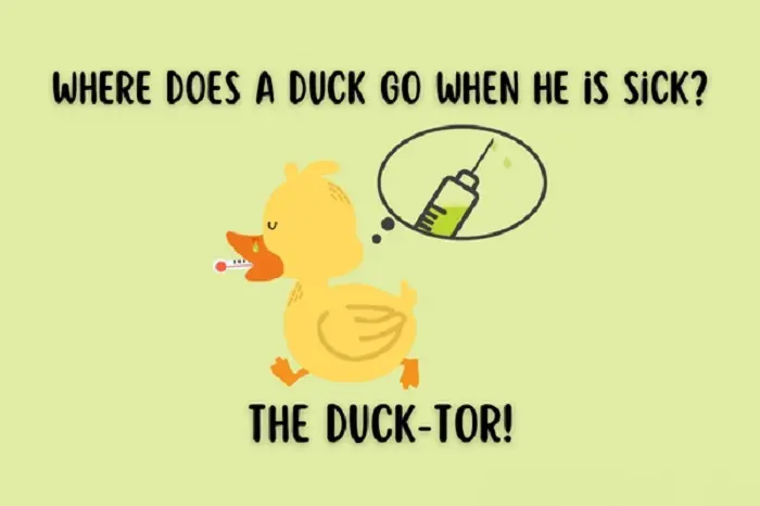Duck Jokes on Everyday Life