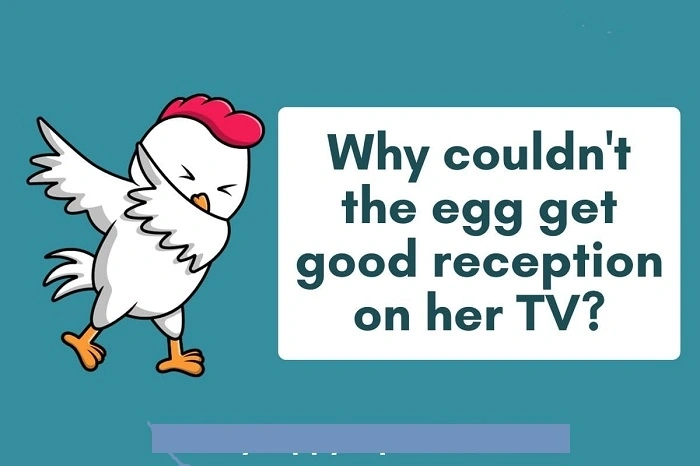 Jokes about Chicken and Eggs