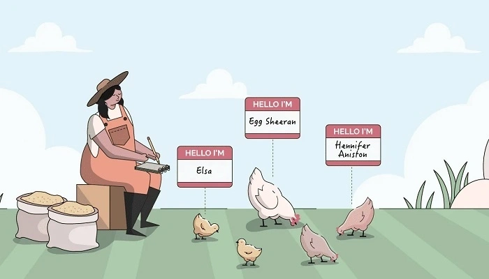 Fun Facts About Chicken Name Puns and Farm Humor (1)