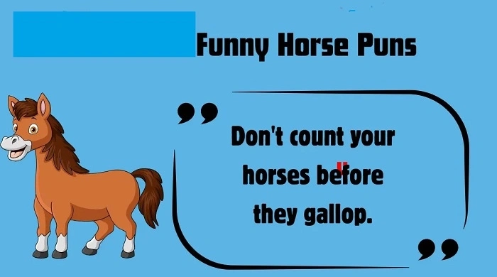 Horse Sound Jokes