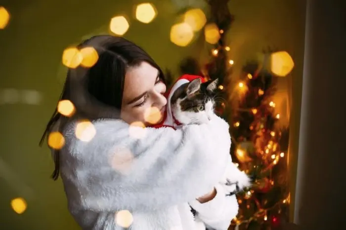 Best Cat Christmas Puns