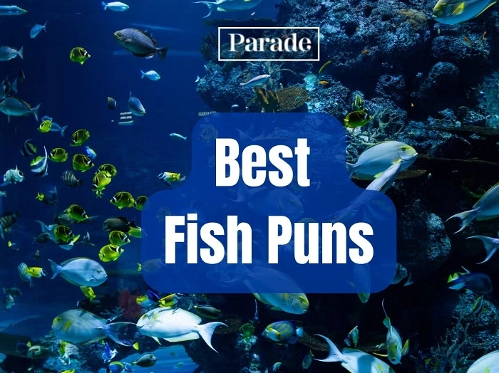 Best Fish Name Puns