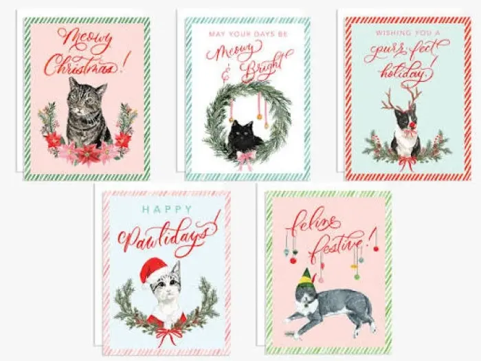 Cat Christmas Puns for Instagram