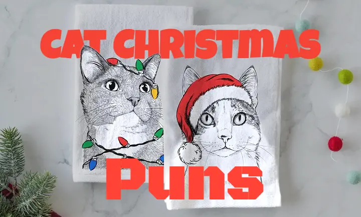 Meowy Christmas: 200+ Cat Christmas Puns That Are Purr-fect for the Holidays cat christmas puns