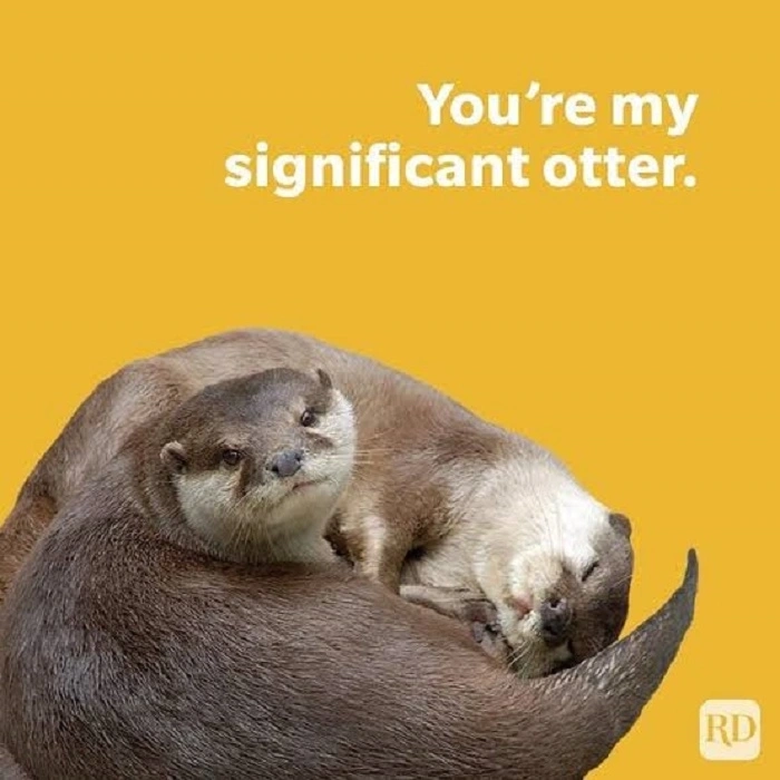Fun Facts About Animal Puns