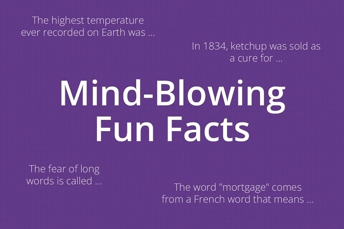Fun Facts About One-Liner Puns