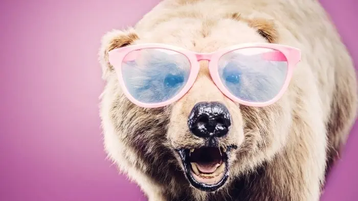 Fun Facts About Polar Bear Puns