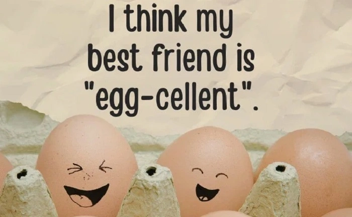funny puns to send to your best friend (5)