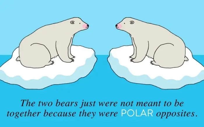 Polar Bear Puns One-Liners