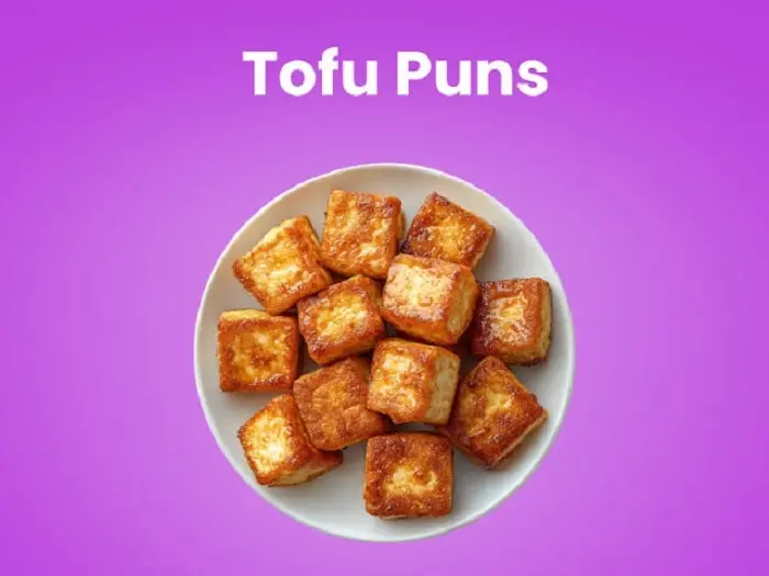 Best Tofu Puns