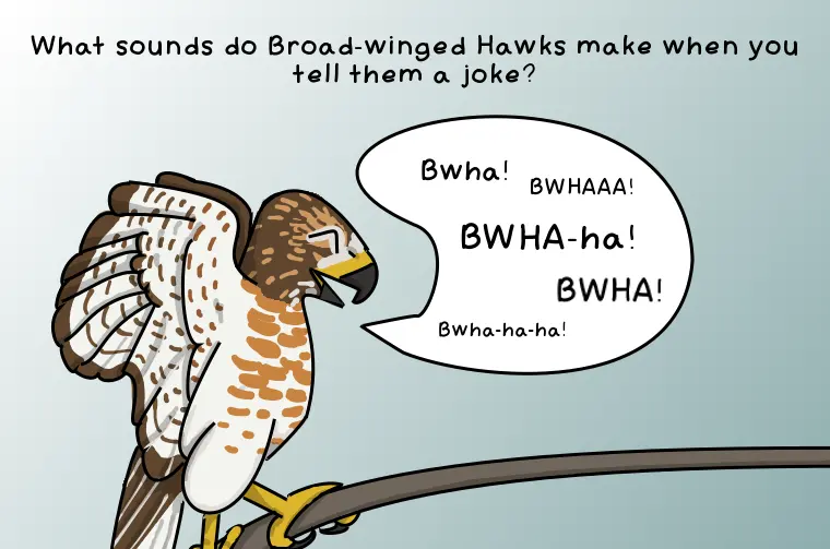 Bird Puns
