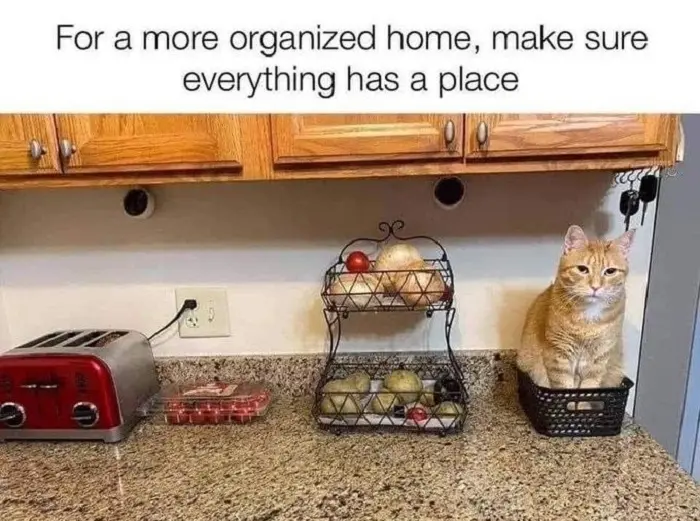 Countertop Puns