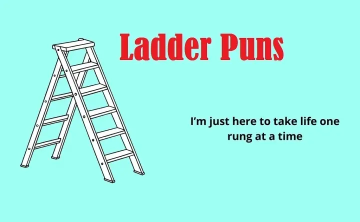 Step Up the Laughs: 200+ Ladder Puns That Are on Another Level ladder puns