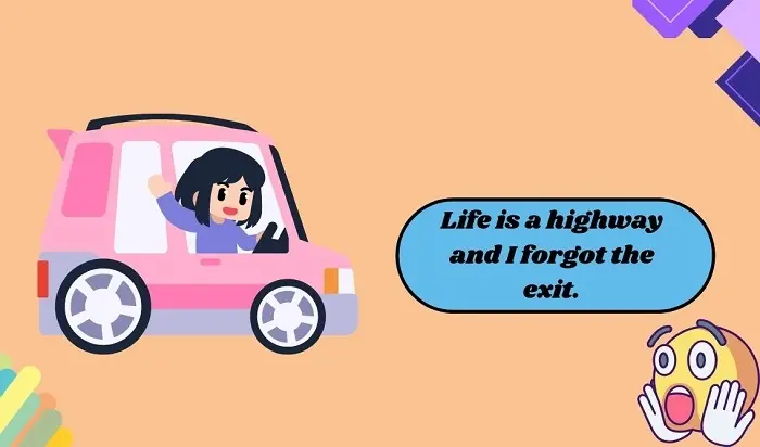 Short Fun Facts About Road Puns