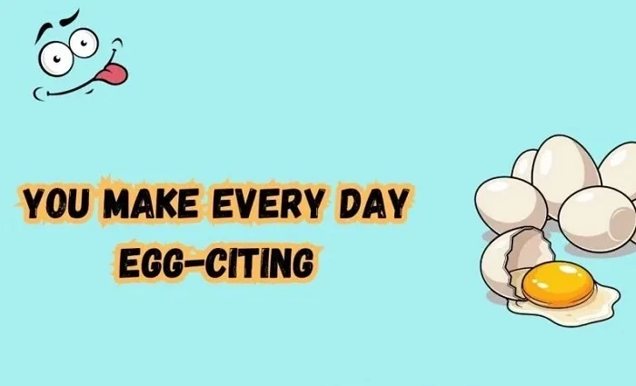 Best Clean Puns (1)