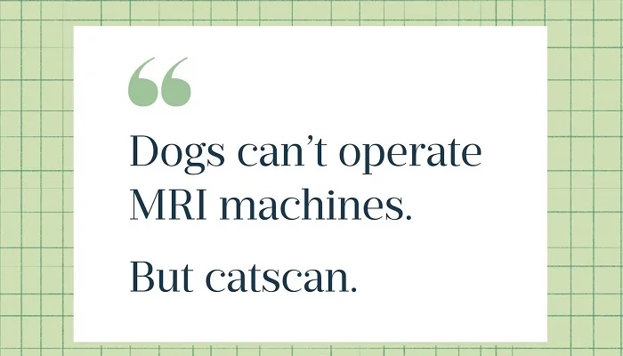 Dad-Style Clean Puns (1)