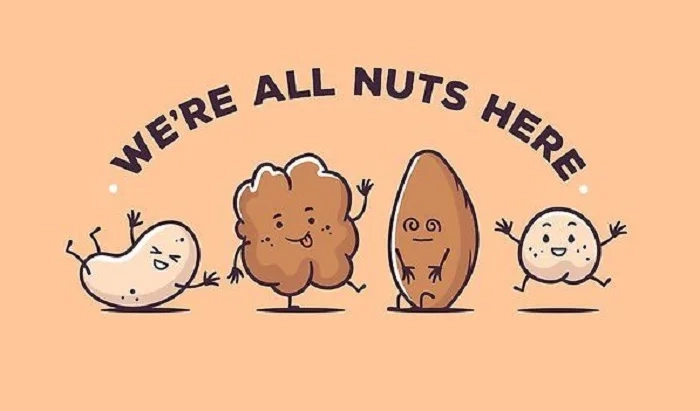 nut puns one-liners