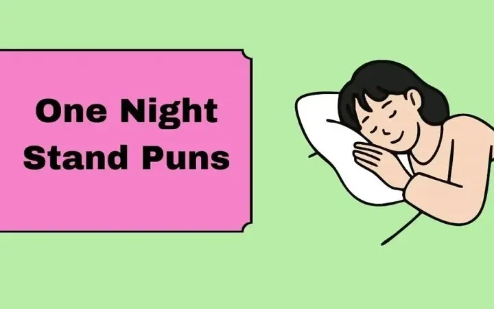 Here for a Good Night: 176+ One Night Stand Puns That Wonβt Overstay one night stand puns