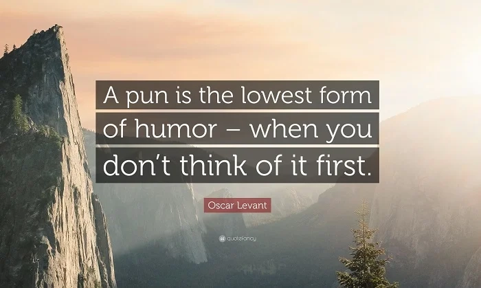 Pun One-Liners (1)